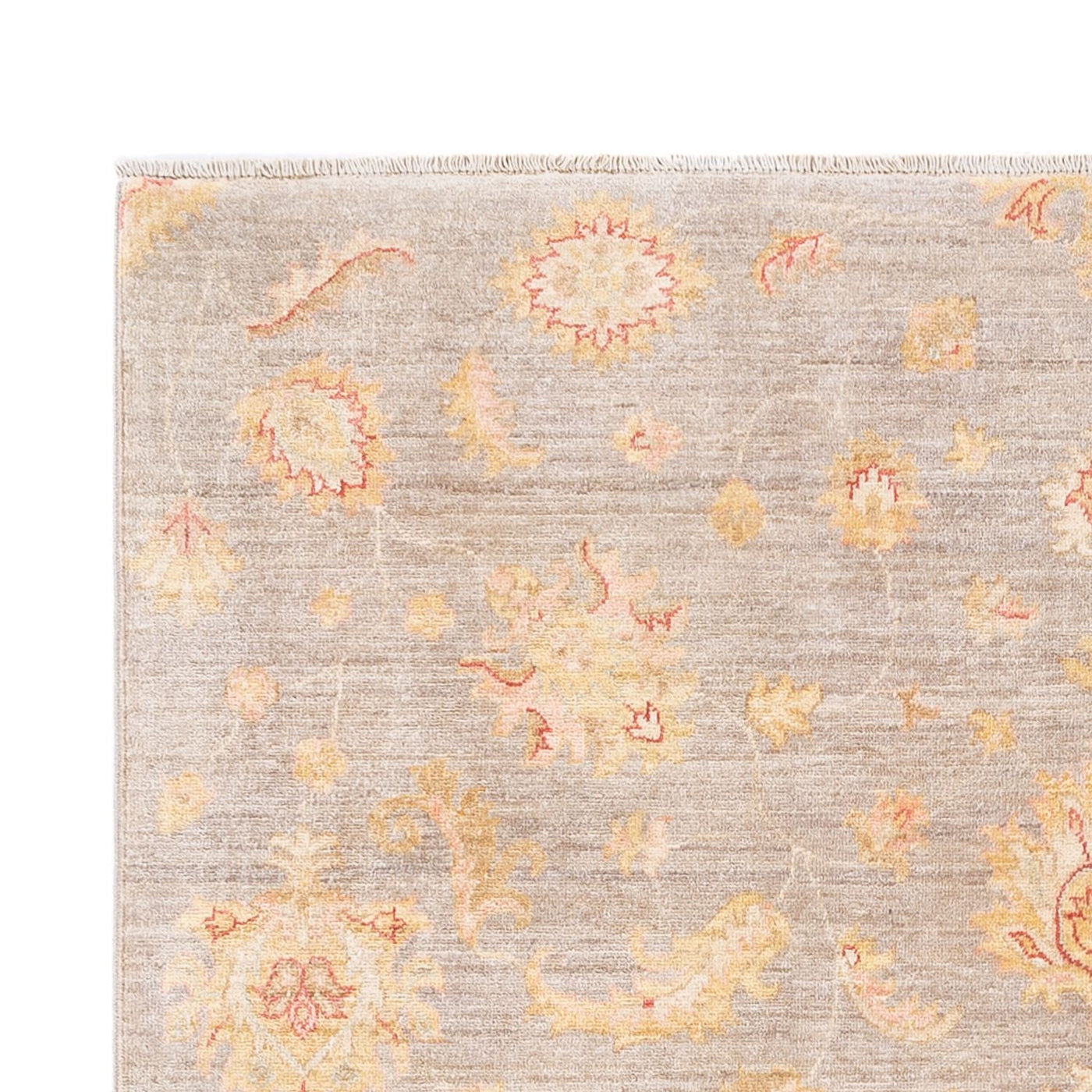 Ariana Tapis 241x169cm - Tapis oriental
