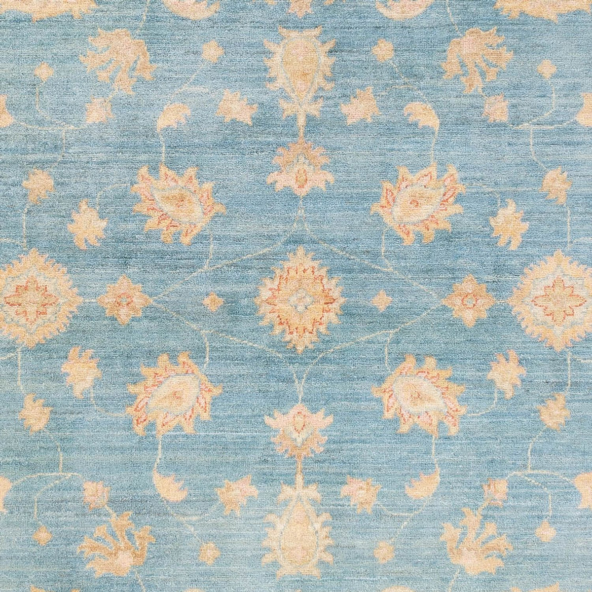 Tapis Ziegler - Ariana - 244 x 171 cm - bleu clair