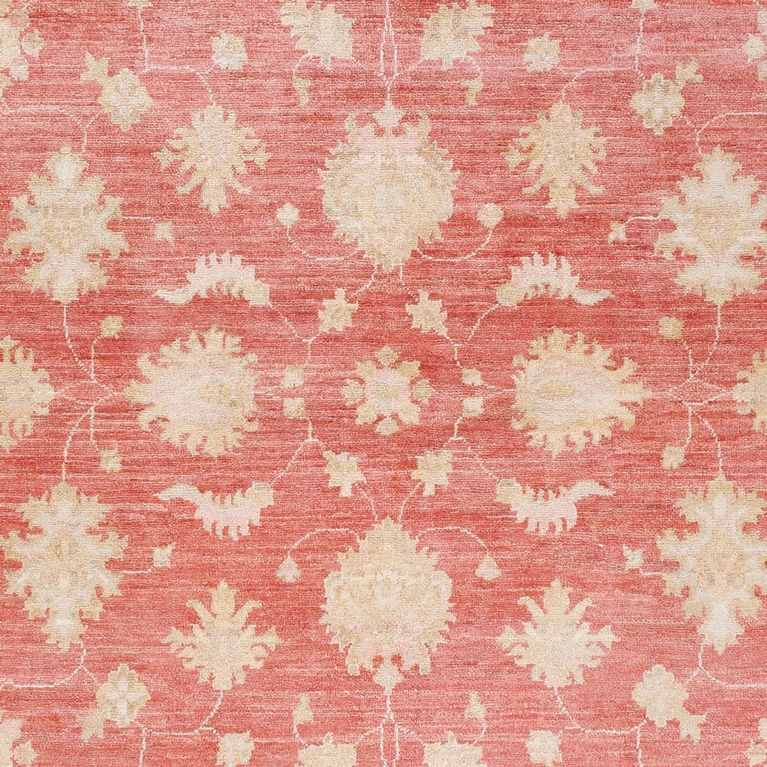 Tapis Ziegler - 248 x 174 cm - rouge
