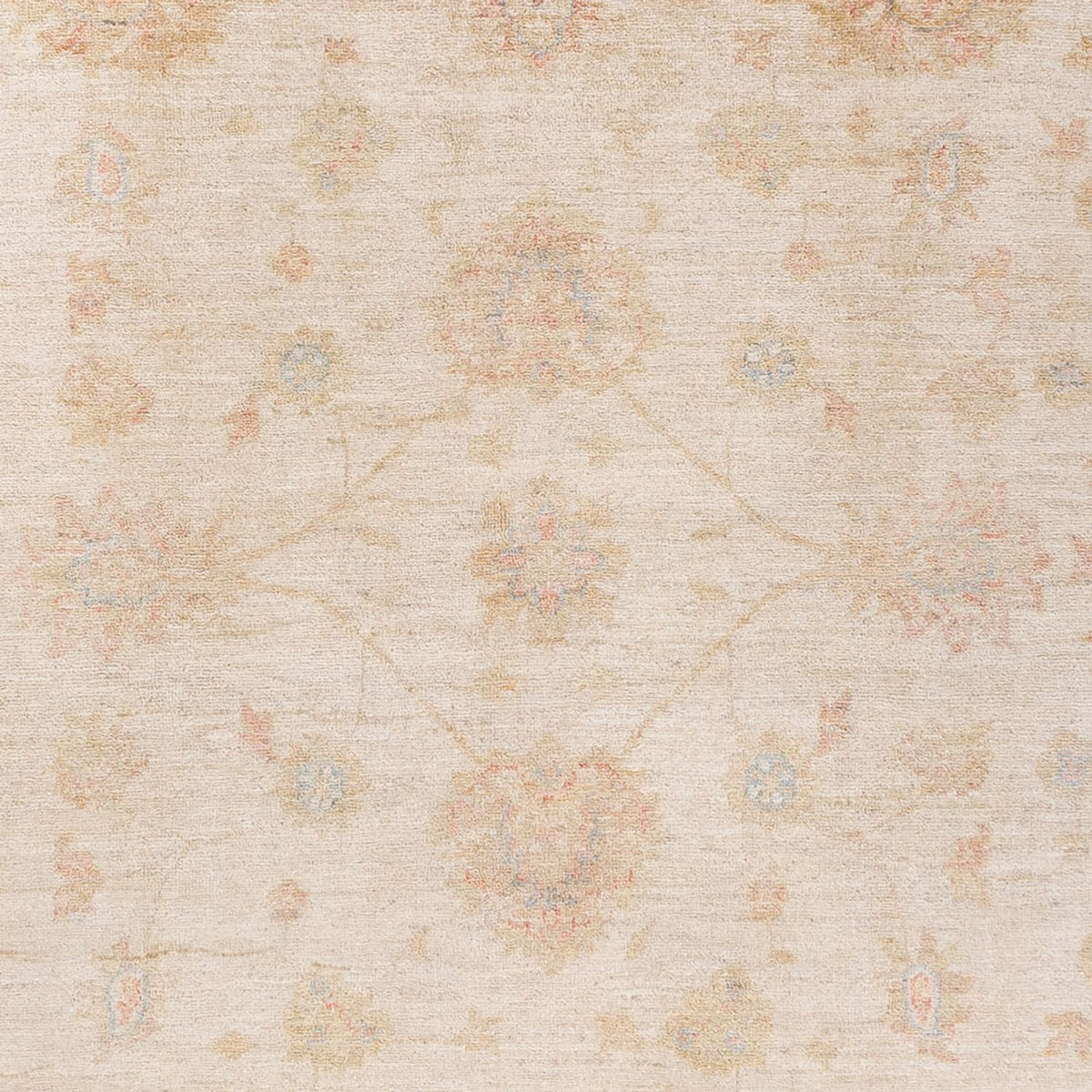 Tapis Ziegler - Ariana - 229 x 170 cm - beige
