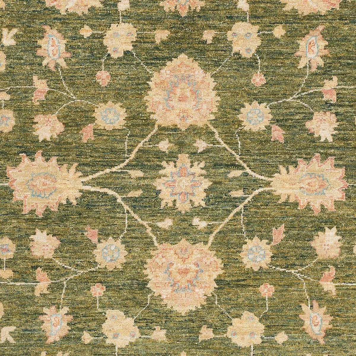 Tapis Ziegler - Ariana - 238 x 177 cm - vert olive