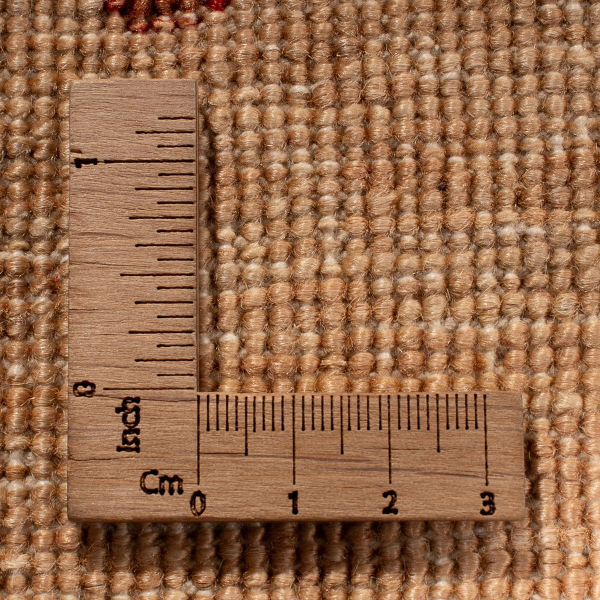 Tapis Ziegler - Ariana - 301 x 241 cm - beige