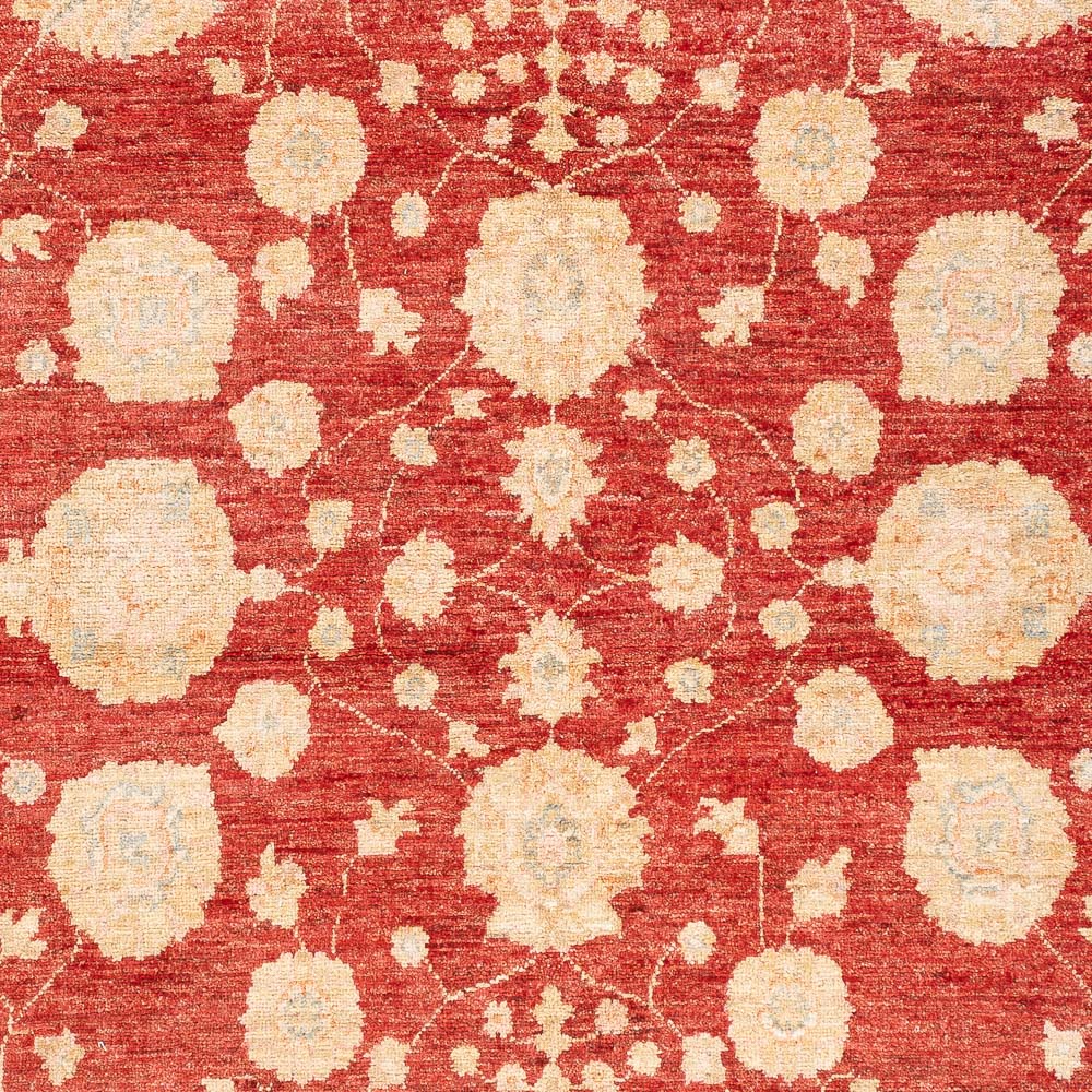 Tapis Ziegler - 210 x 152 cm - rouge