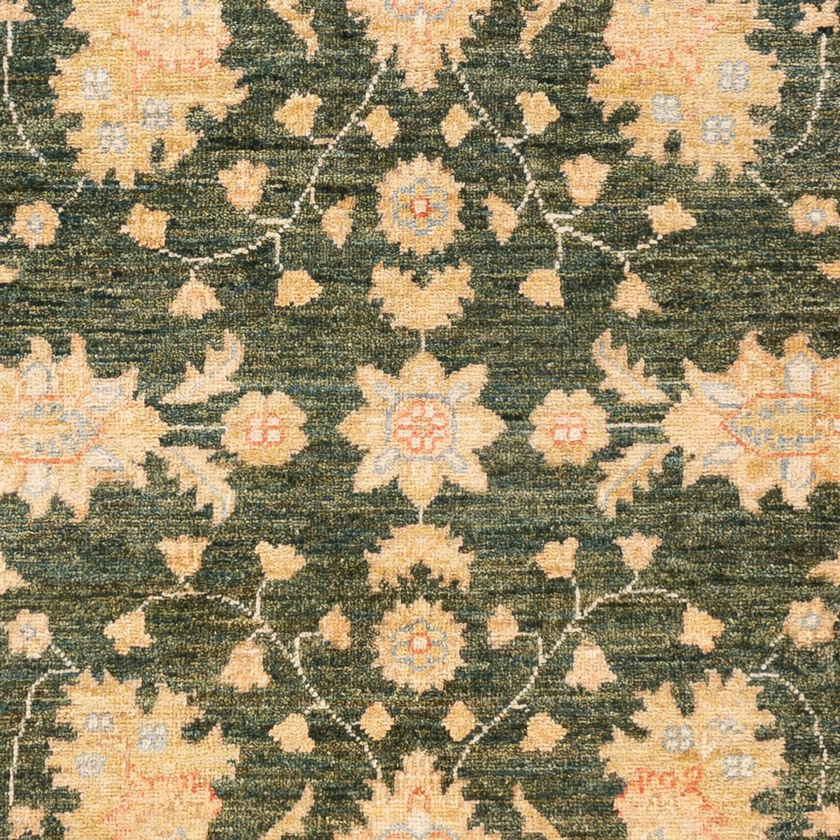 Tapis Ziegler - 175 x 125 cm - vert olive