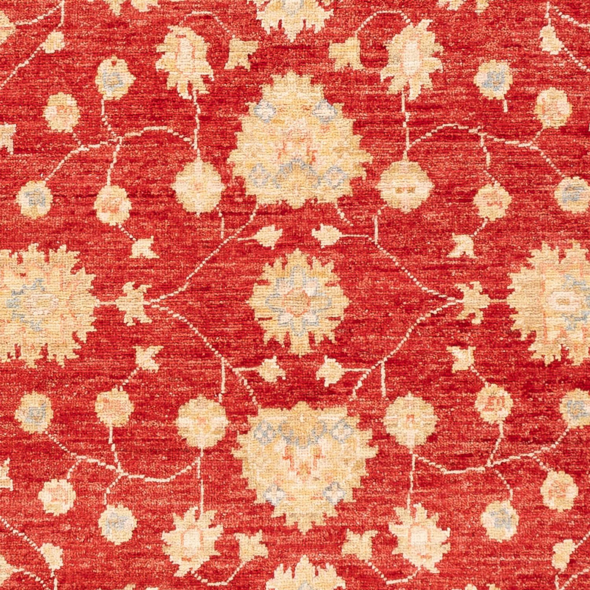 Tapis Ziegler - 177 x 124 cm - rouge