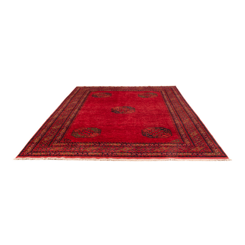 Tapis afghan - Kunduz - 305 x 204 cm - rouge