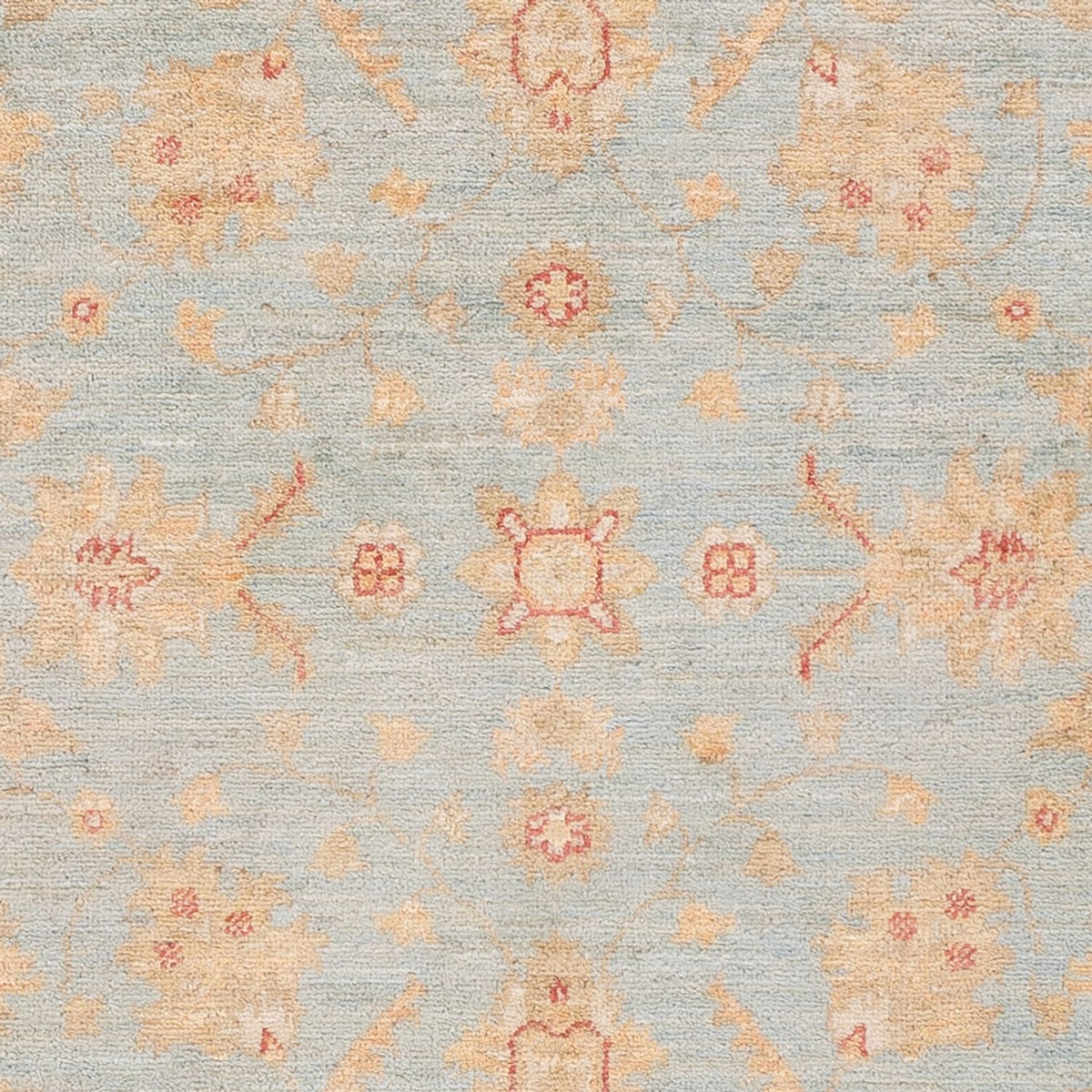 Tapis Ziegler - 150 x 101 cm - bleu clair