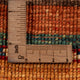 Tapis Ziegler - Shal - 143 x 100 cm - multicolore