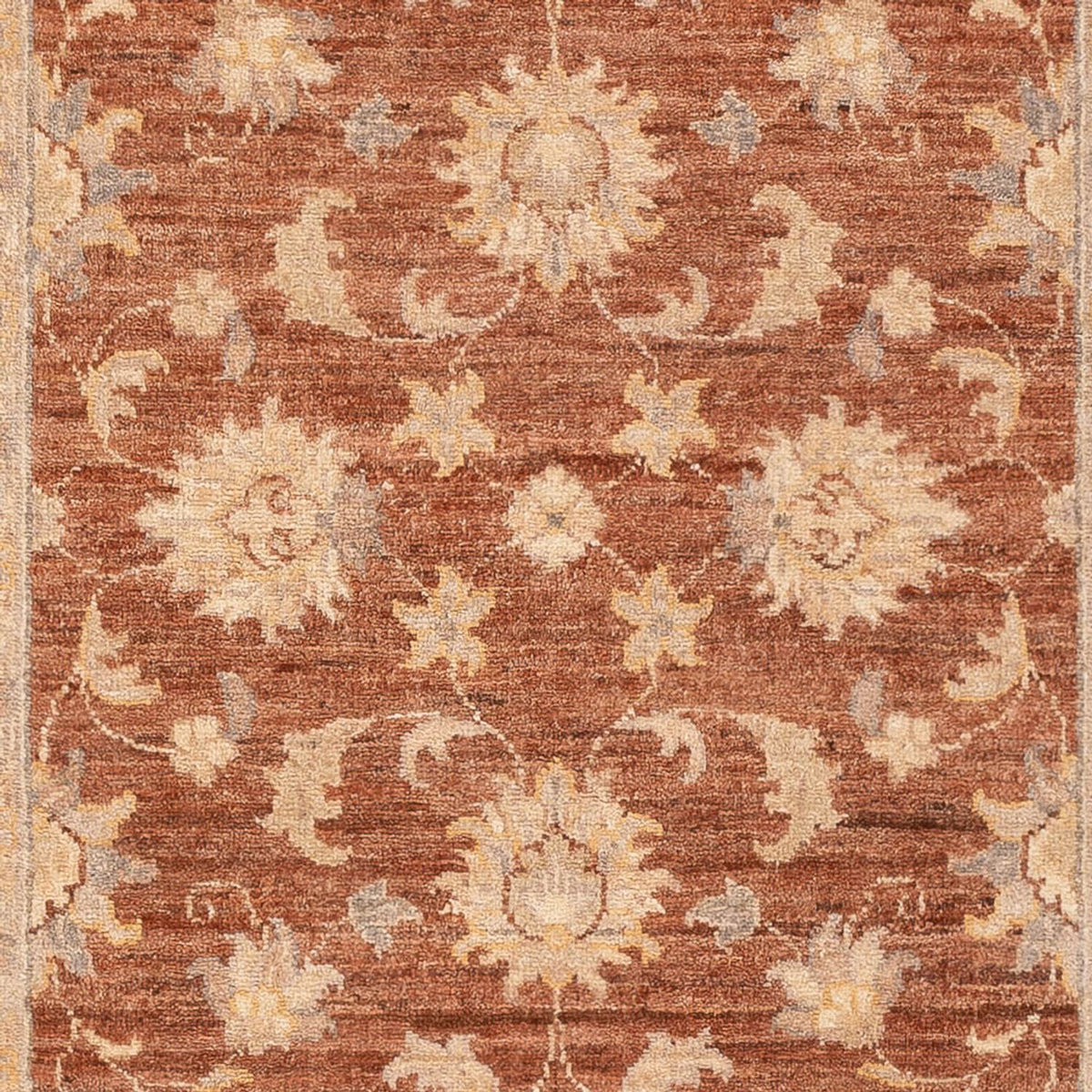 Tapis Ziegler - 148 x 103 cm - marron clair