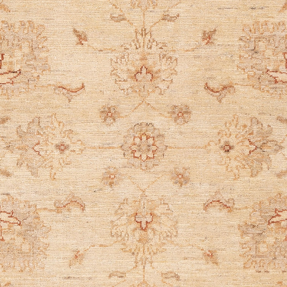 Tapis Ziegler - 152 x 100 cm - beige clair