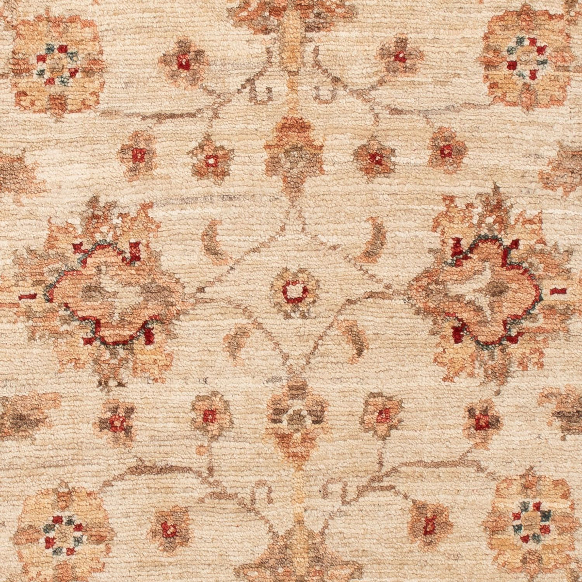 Tapis Ziegler - 119 x 78 cm - beige