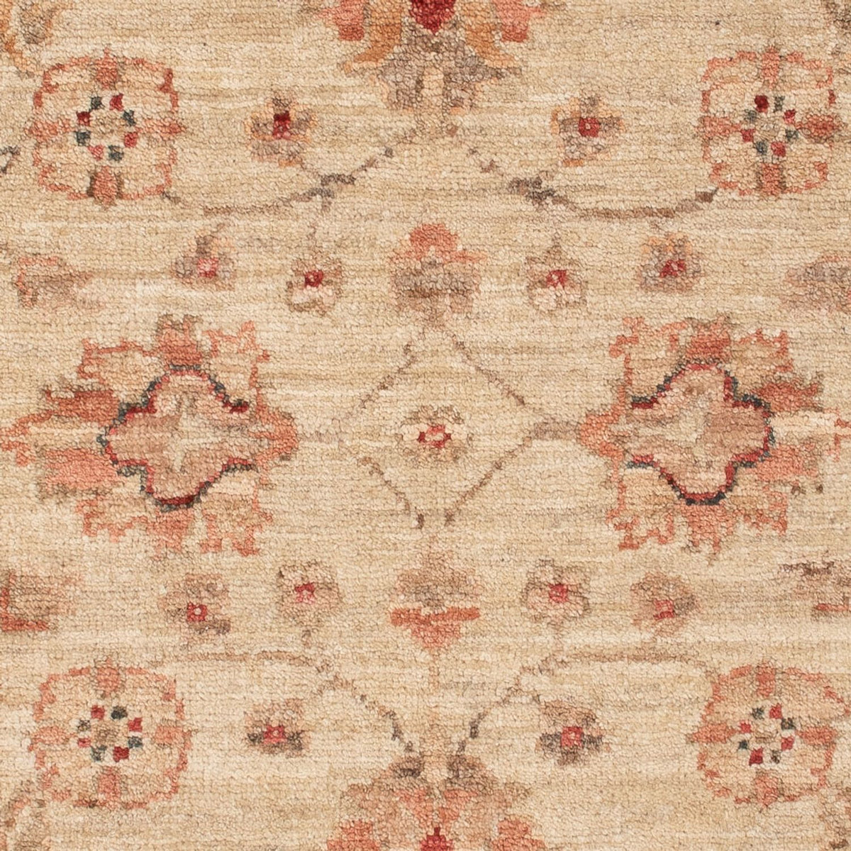Tapis Ziegler - 123 x 82 cm - beige