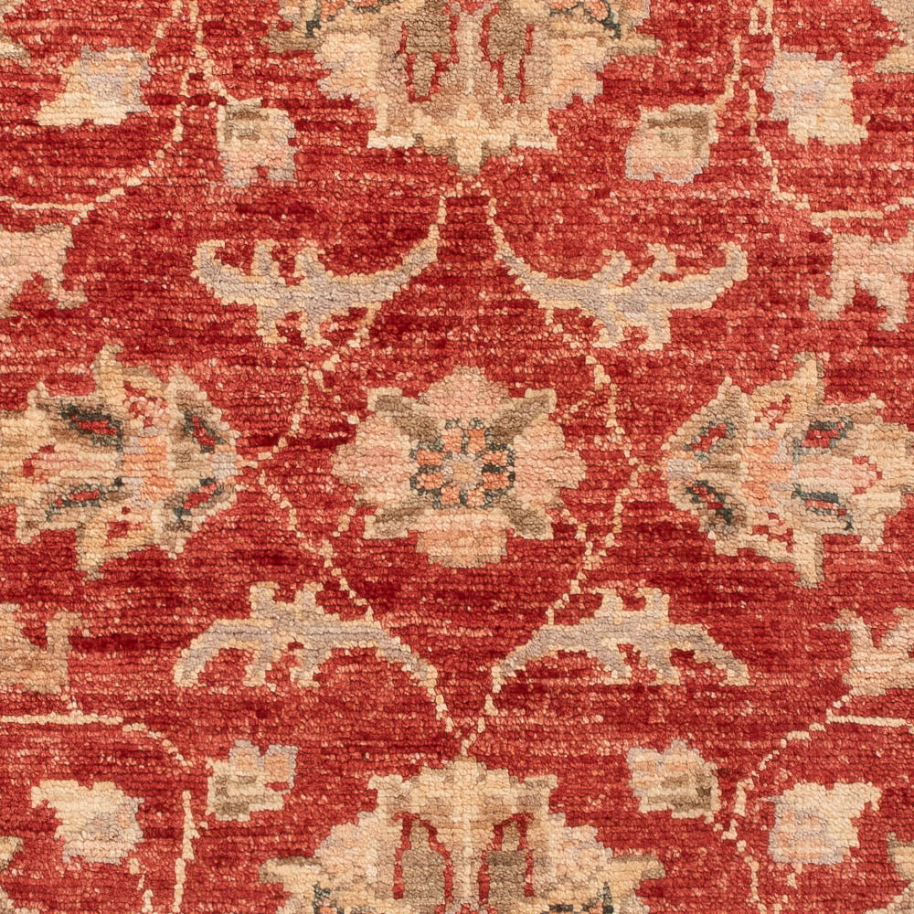 Tapis Ziegler - 122 x 82 cm - rouge