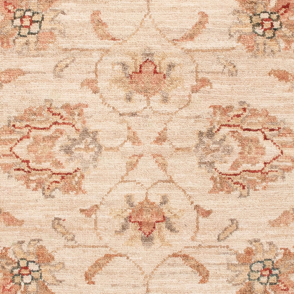 Tapis Ziegler - 120 x 82 cm - beige