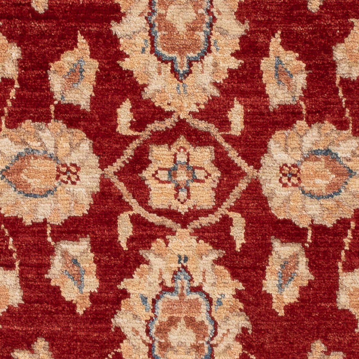 Tapis Ziegler - 101 x 75 cm - rouge bordeaux