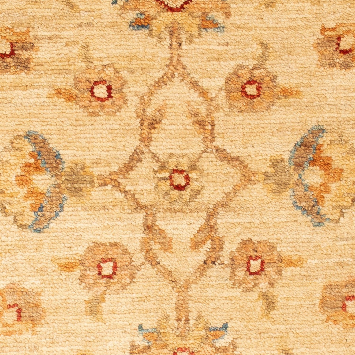 Tapis Ziegler - 88 x 61 cm - beige