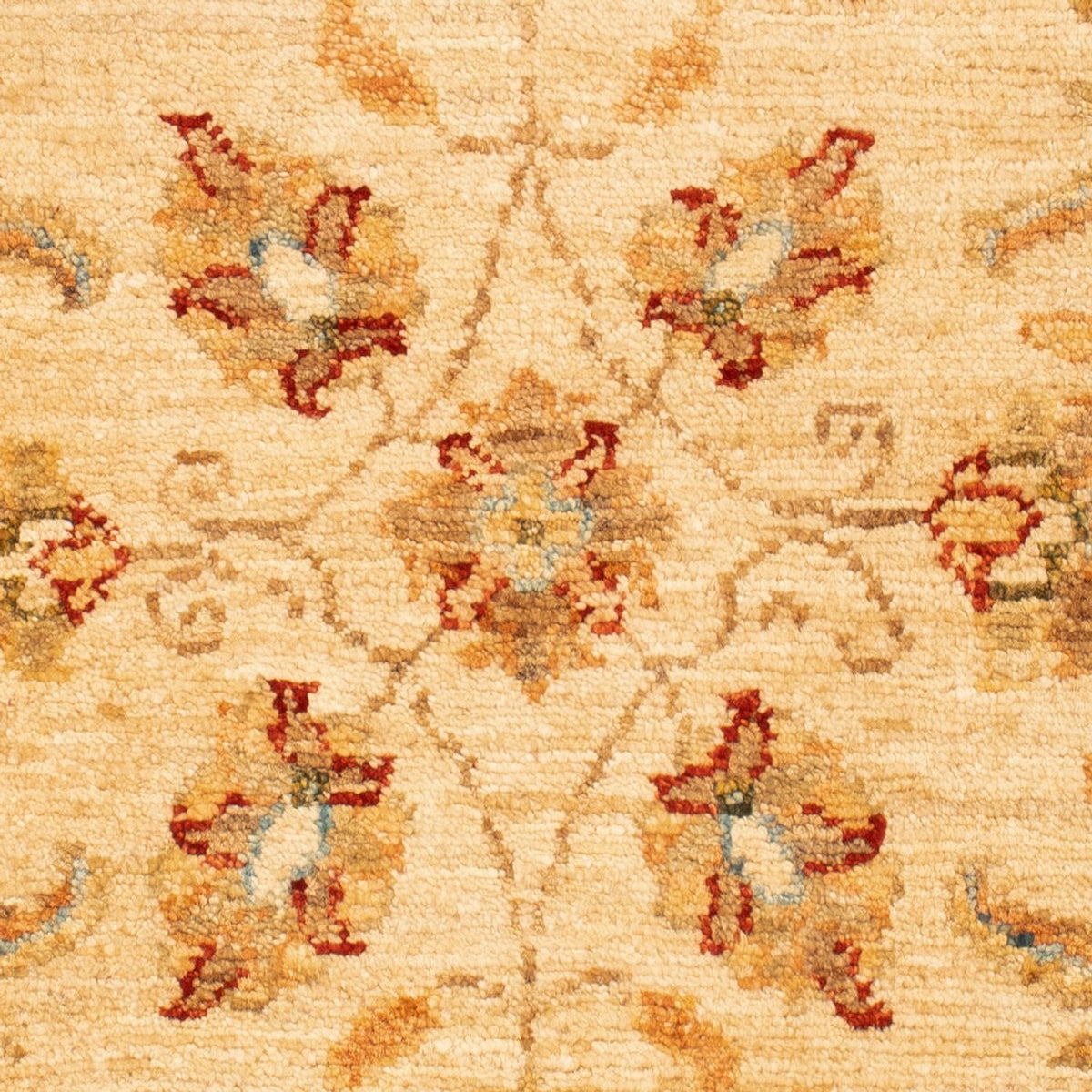 Tapis Ziegler - 87 x 60 cm - beige