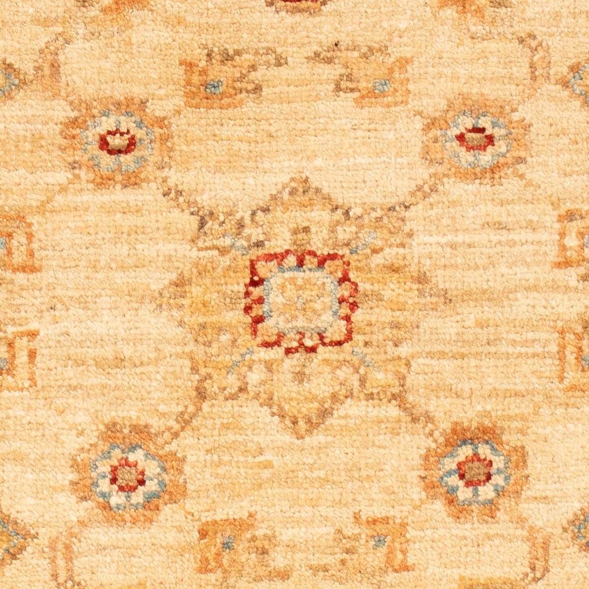 Tapis Ziegler - 79 x 60 cm - beige