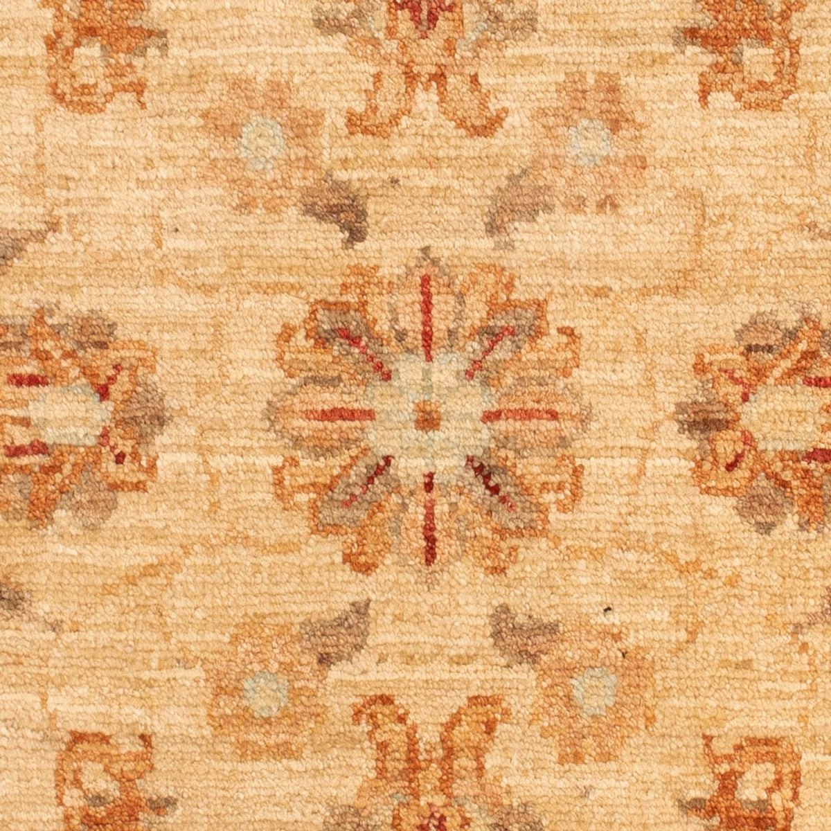 Tapis Ziegler - 92 x 58 cm - beige