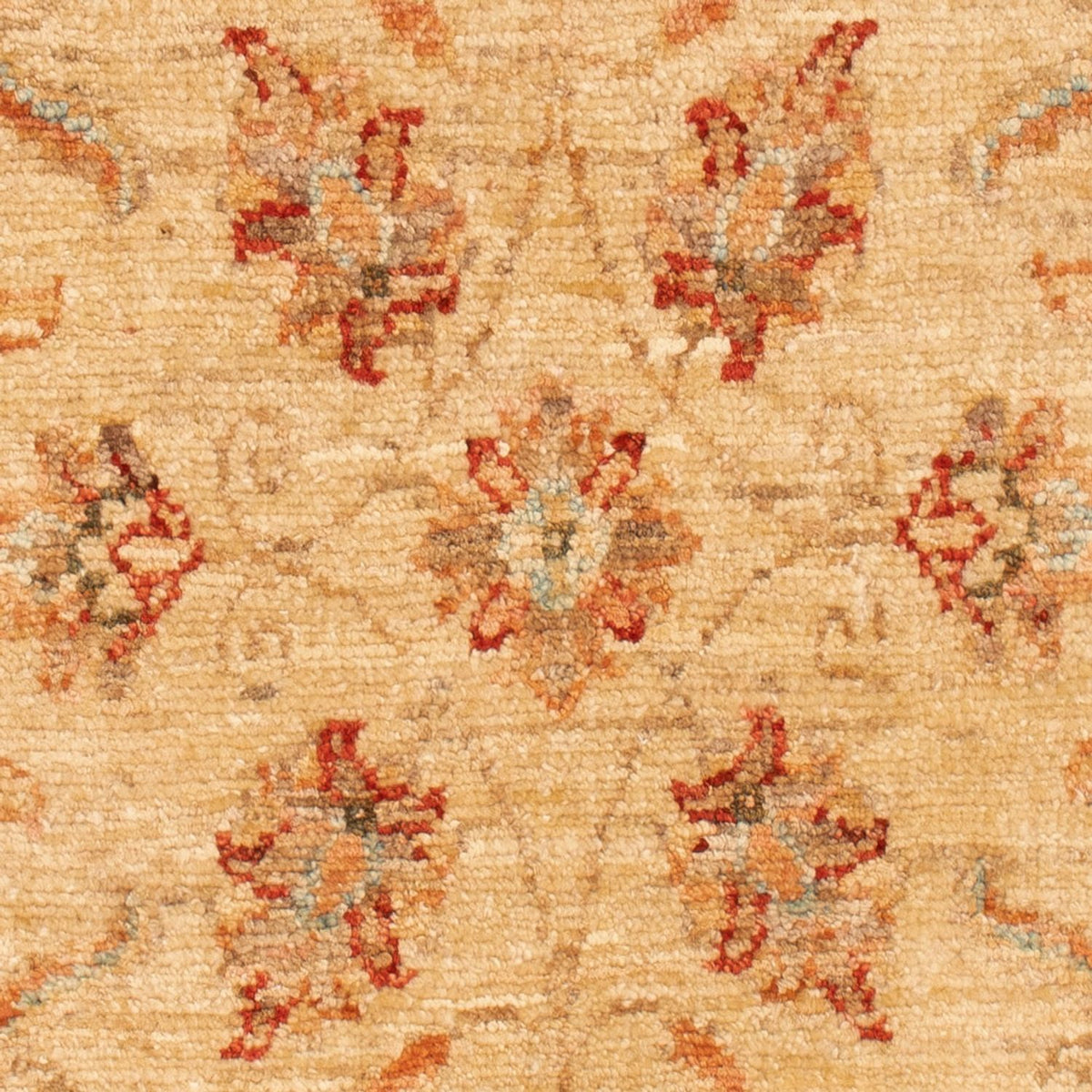 Tapis Ziegler - 102 x 61 cm - beige