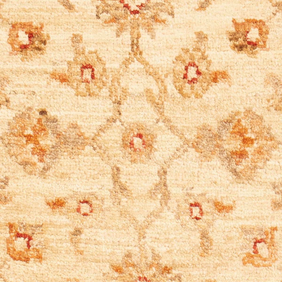 Tapis Ziegler - 94 x 60 cm - beige