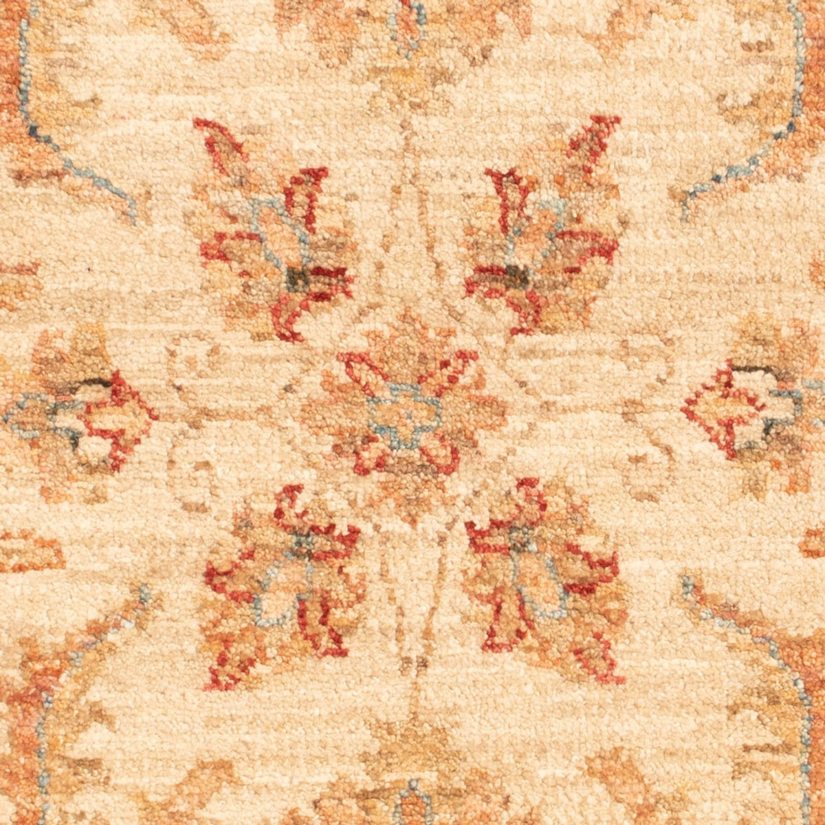 Tapis Ziegler - 91 x 62 cm - beige