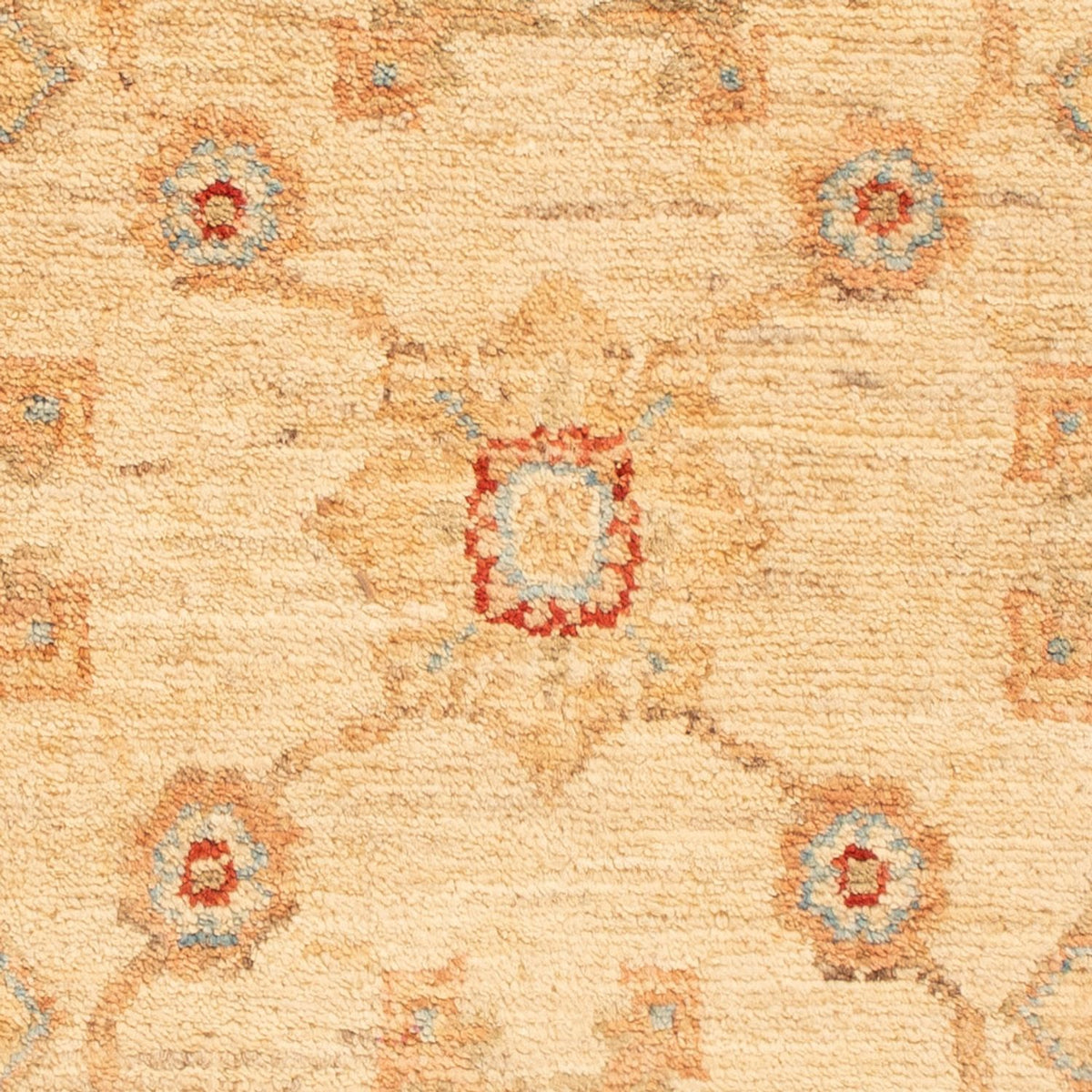 Tapis Ziegler - 91 x 60 cm - beige