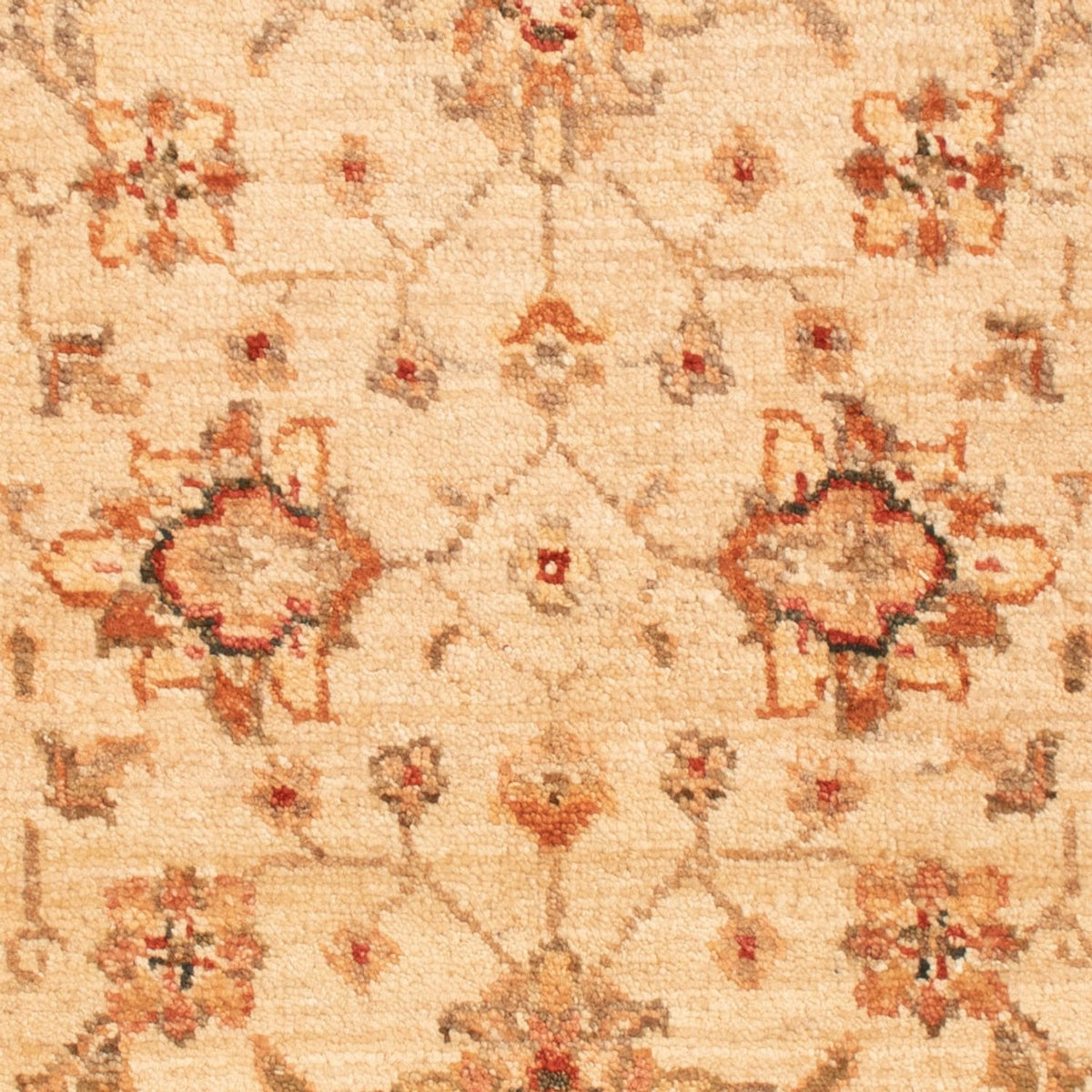 Tapis Ziegler - 94 x 61 cm - beige