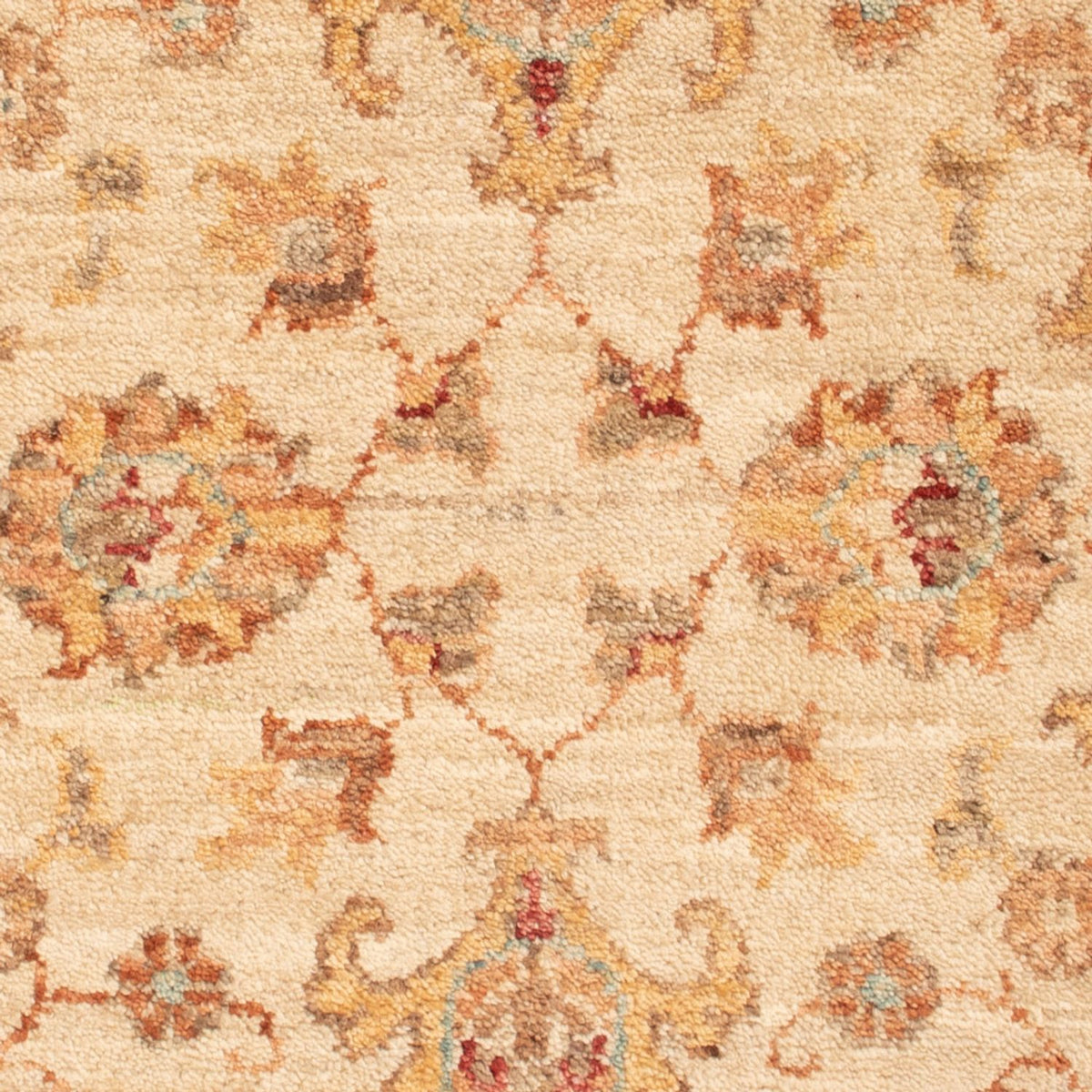Tapis Ziegler - 91 x 62 cm - beige
