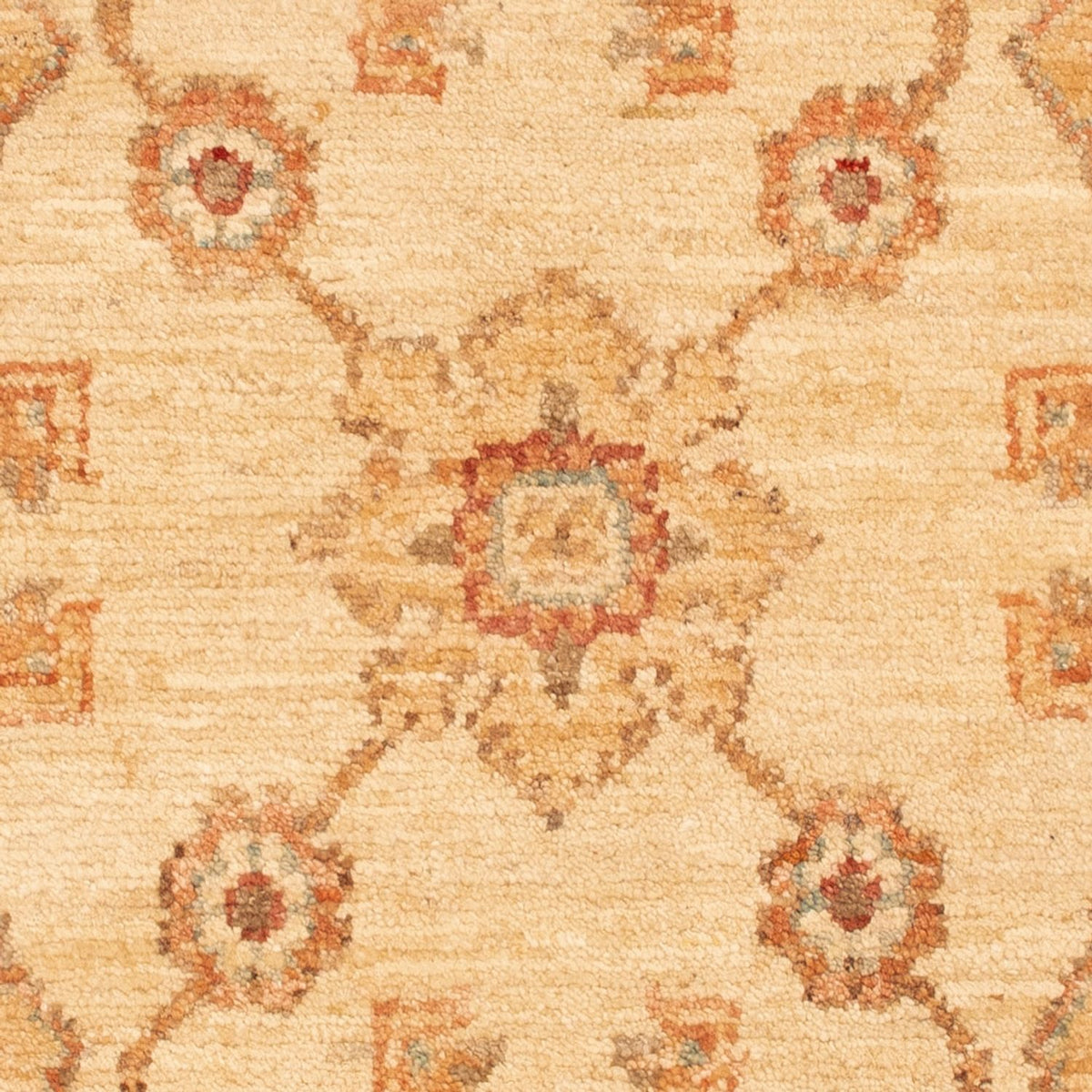 Tapis Ziegler - 91 x 60 cm - beige