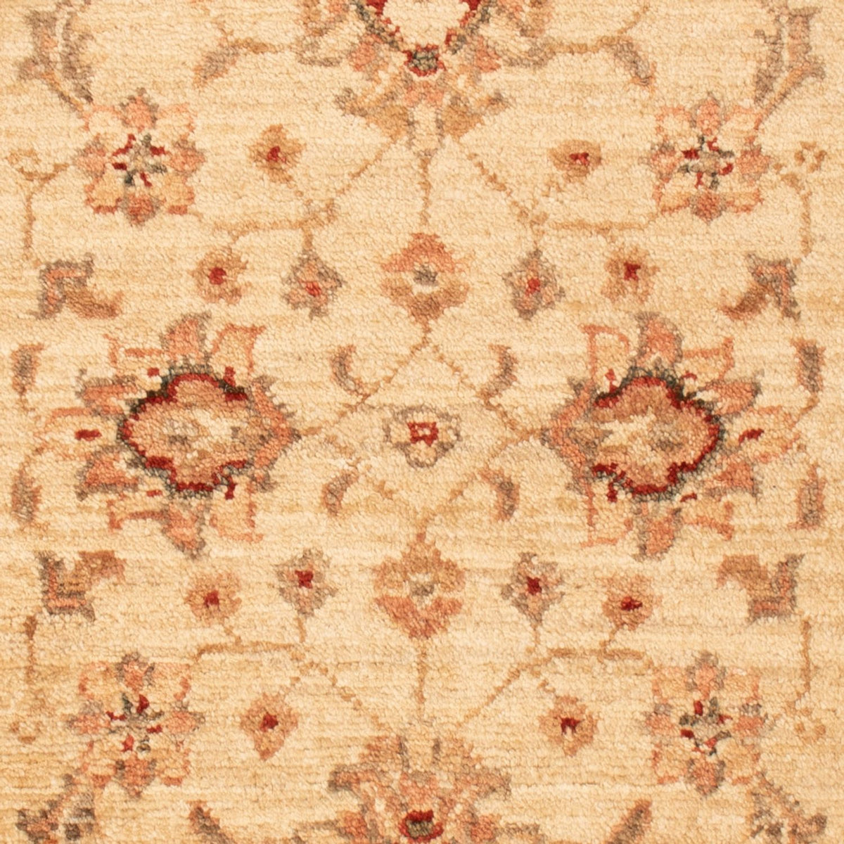 Tapis Ziegler - 90 x 60 cm - beige