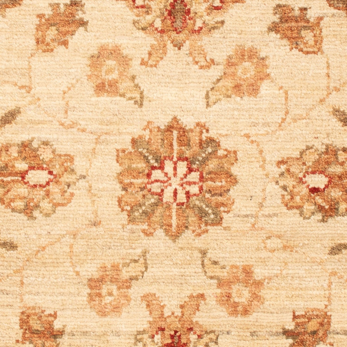 Tapis Ziegler - 93 x 62 cm - beige