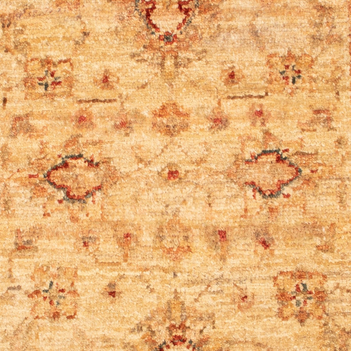 Tapis Ziegler - 88 x 61 cm - beige