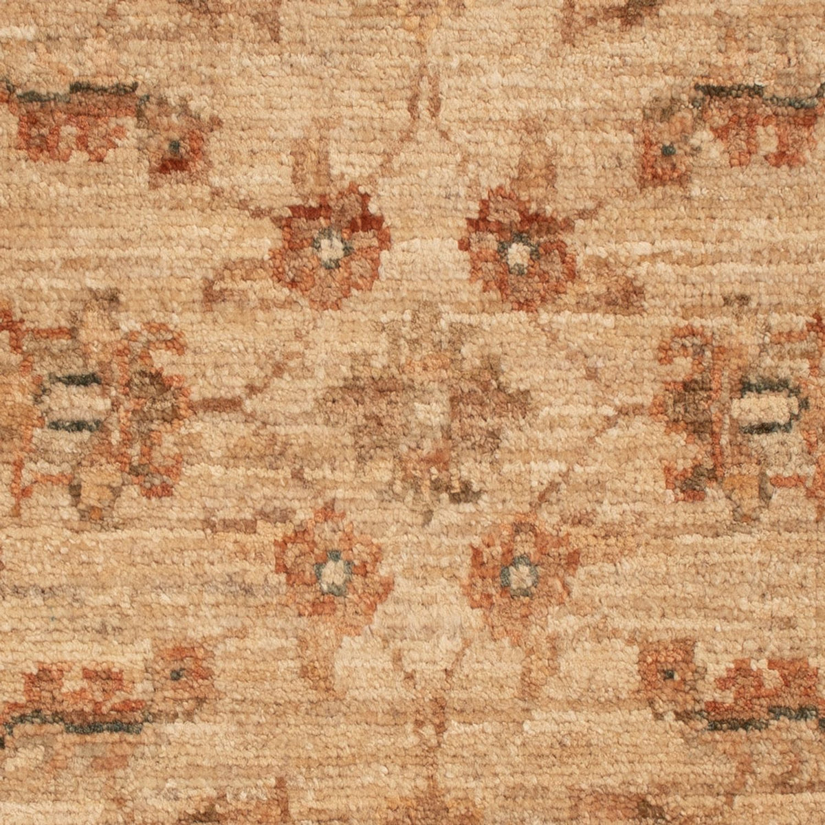 Tapis Ziegler carré  - 71 x 51 cm - beige