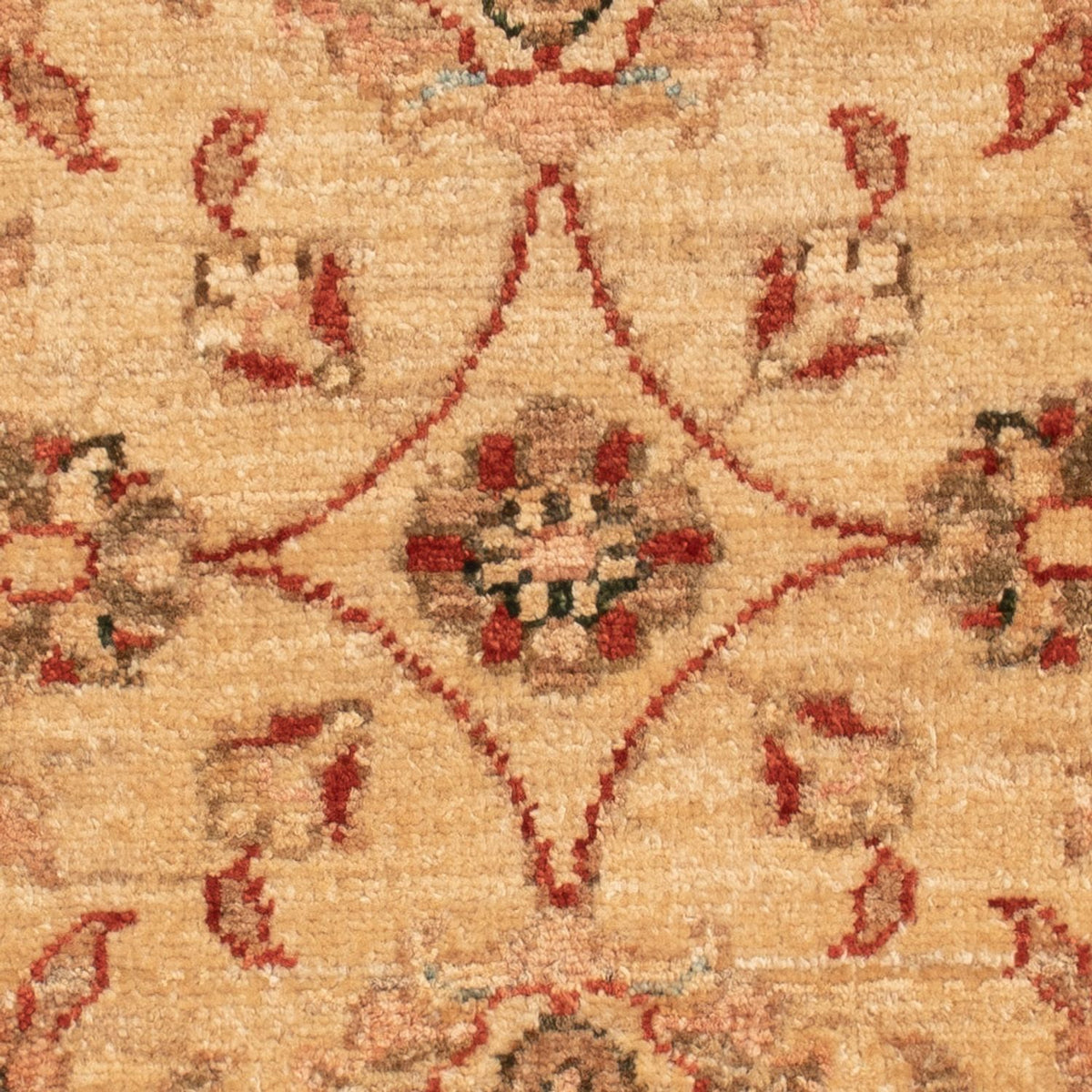 Tapis Ziegler - 62 x 50 cm - beige