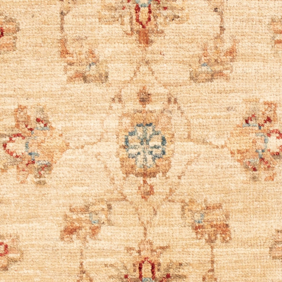 Tapis Ziegler - 70 x 56 cm - beige