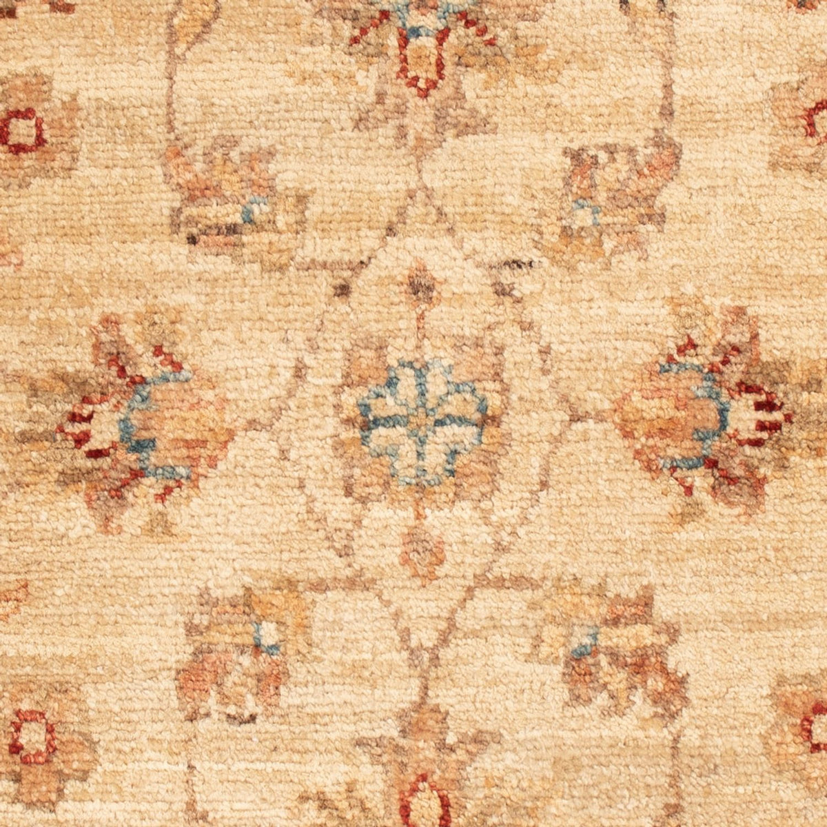 Tapis Ziegler - 73 x 55 cm - beige