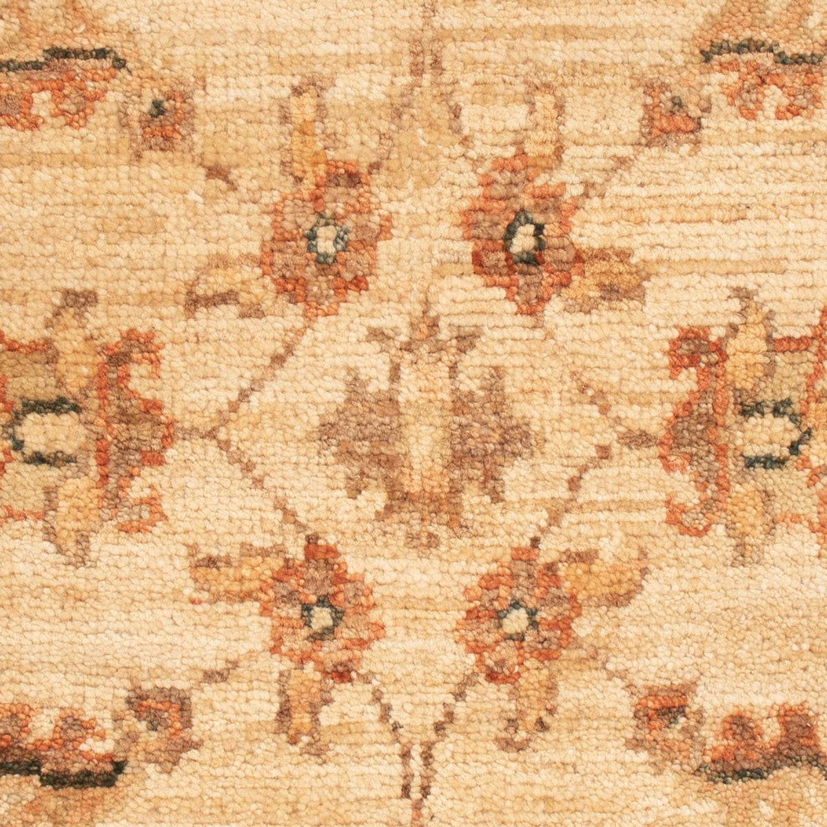 Tapis Ziegler - 68 x 50 cm - beige