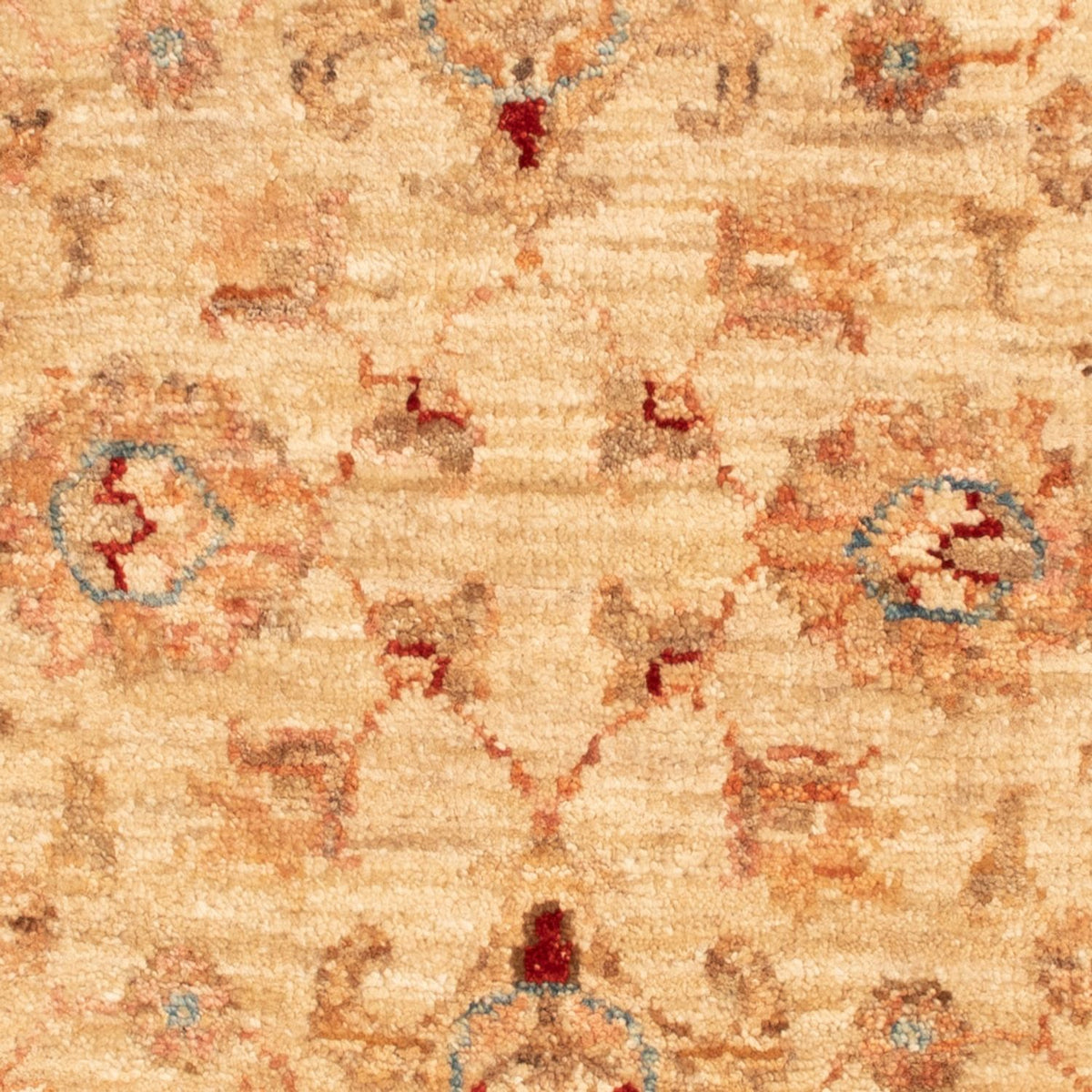 Tapis Ziegler - 87 x 58 cm - beige