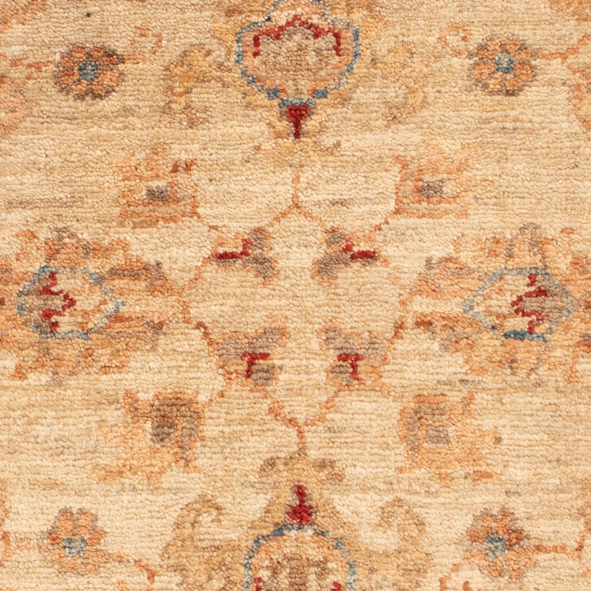 Tapis Ziegler - 80 x 60 cm - beige