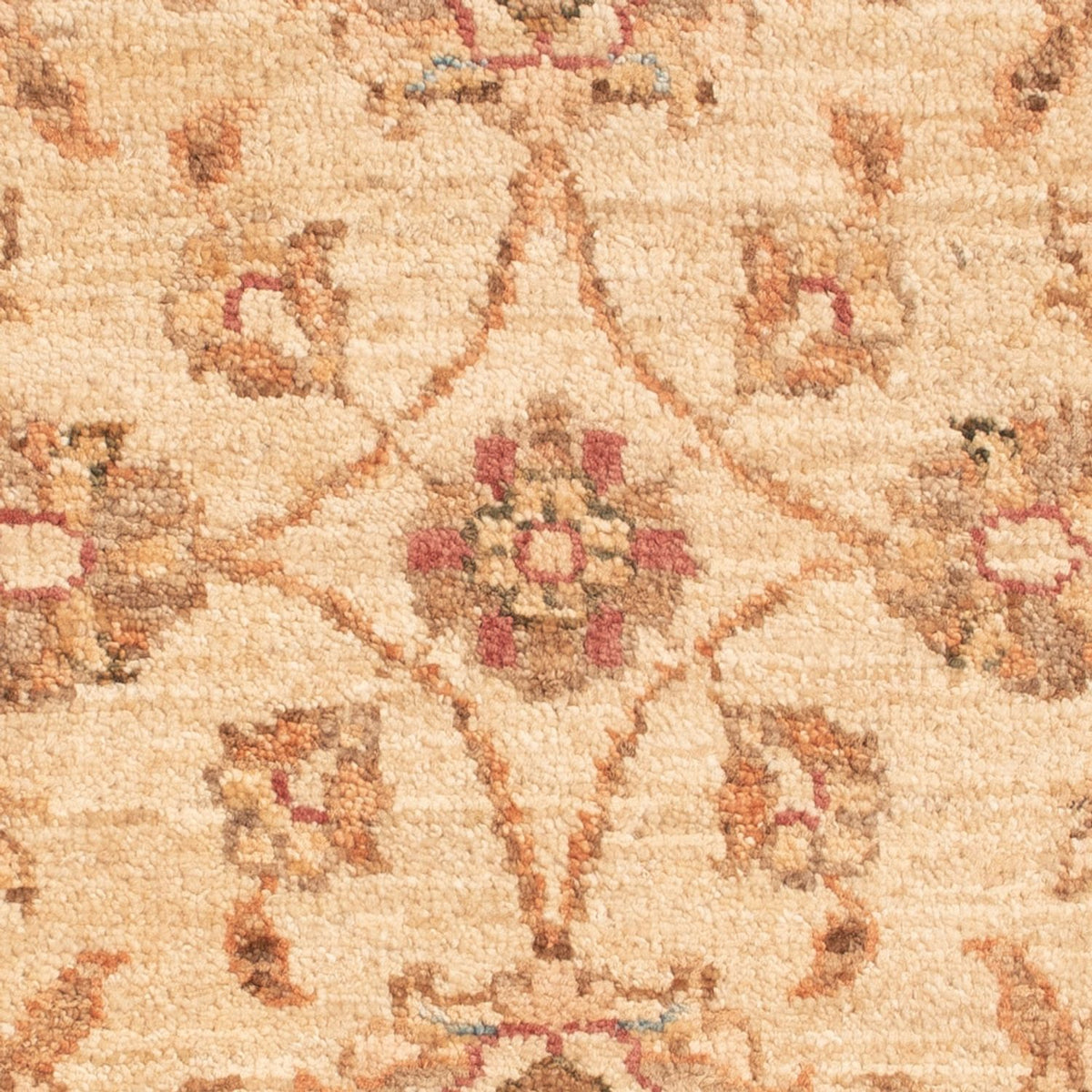 Tapis Ziegler - 66 x 49 cm - beige