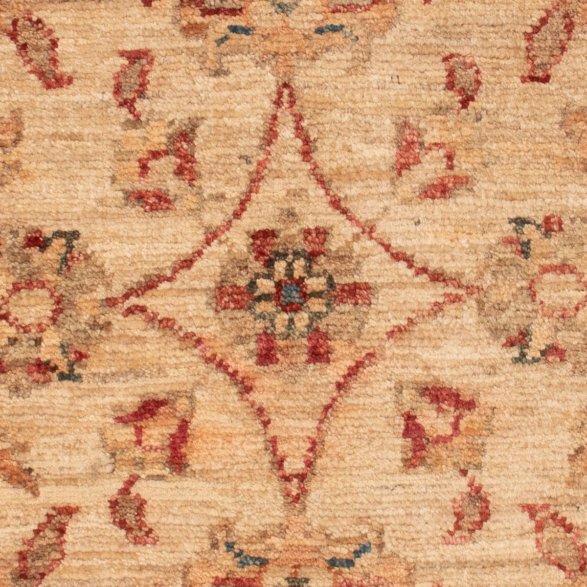 Tapis Ziegler - 72 x 51 cm - beige