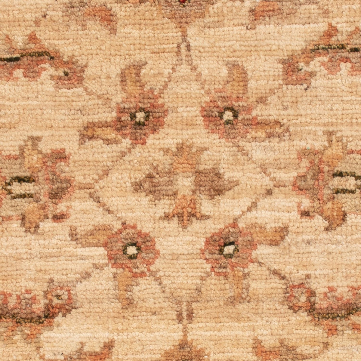 Tapis Ziegler - 63 x 48 cm - beige