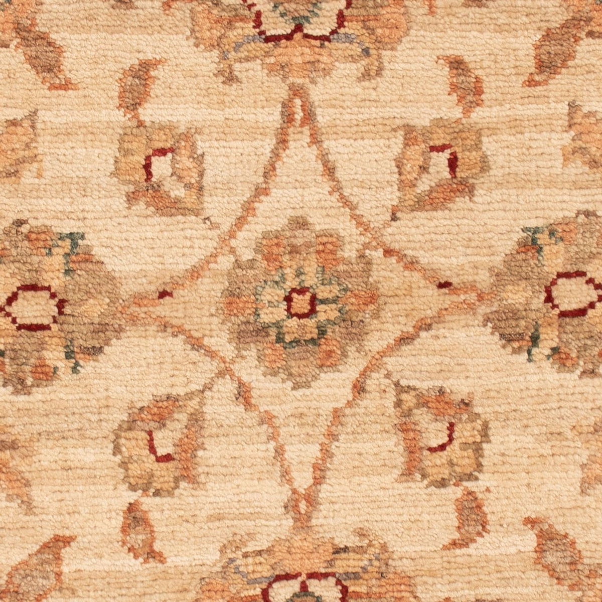 Tapis Ziegler - 70 x 49 cm - beige
