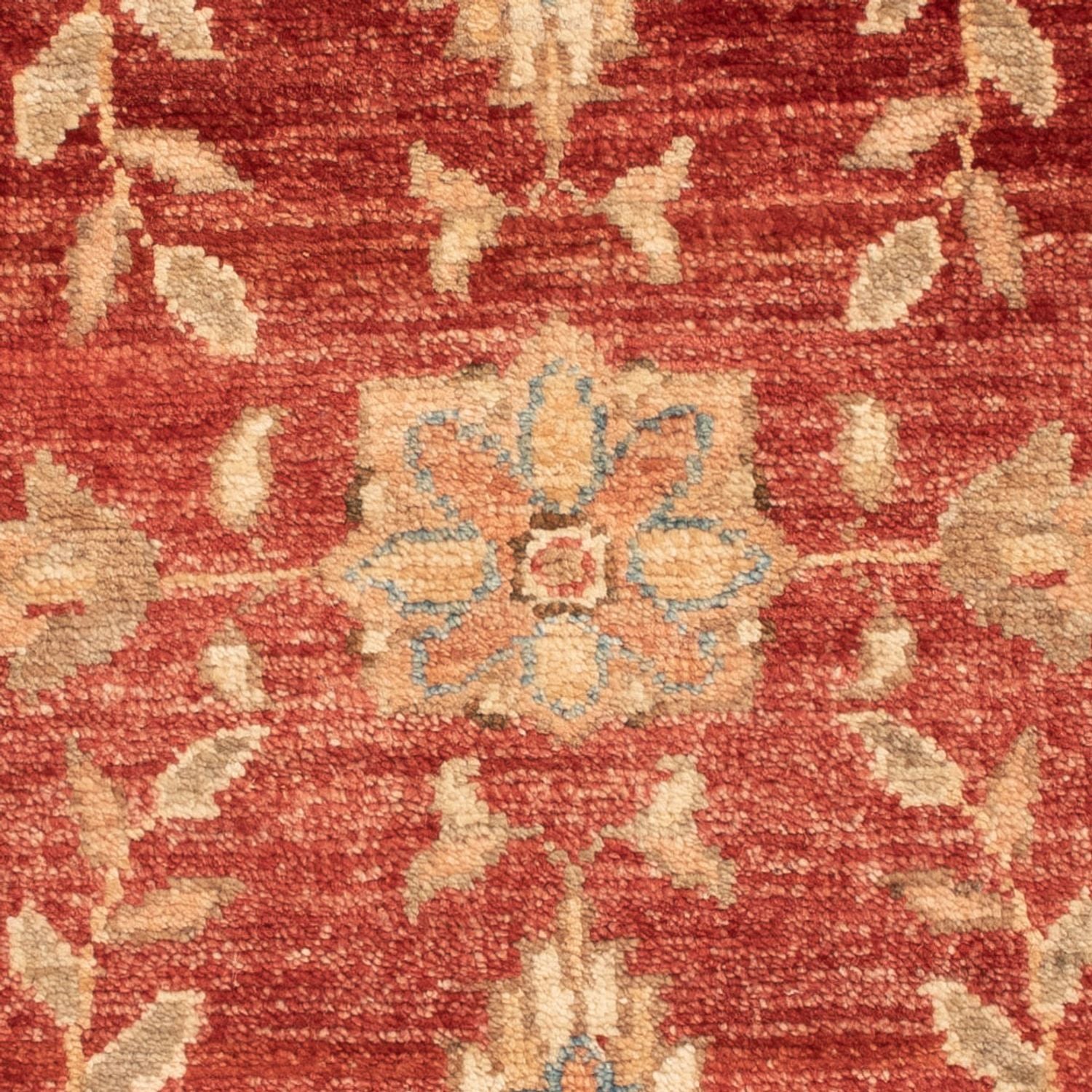 Tapis Ziegler - 70 x 55 cm - rouge