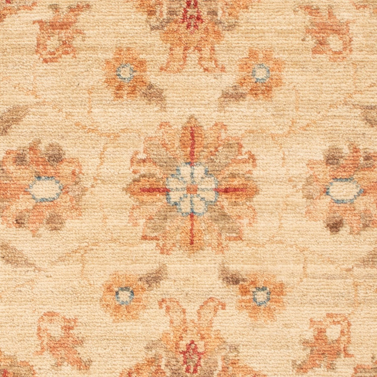 Tapis Ziegler - 95 x 60 cm - beige