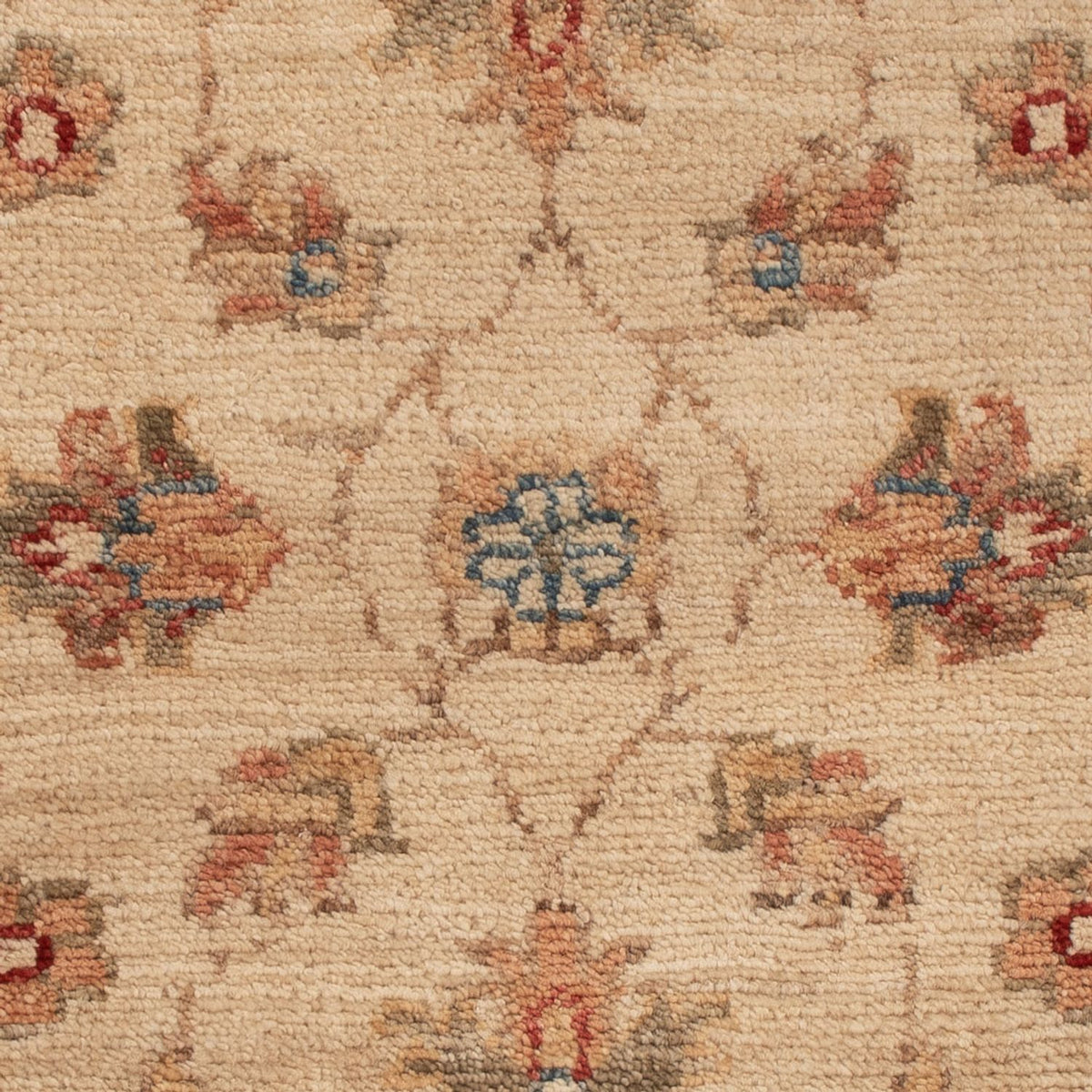 Tapis Ziegler - 68 x 52 cm - beige