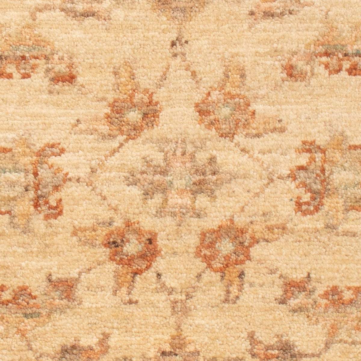 Tapis Ziegler - 67 x 51 cm - beige