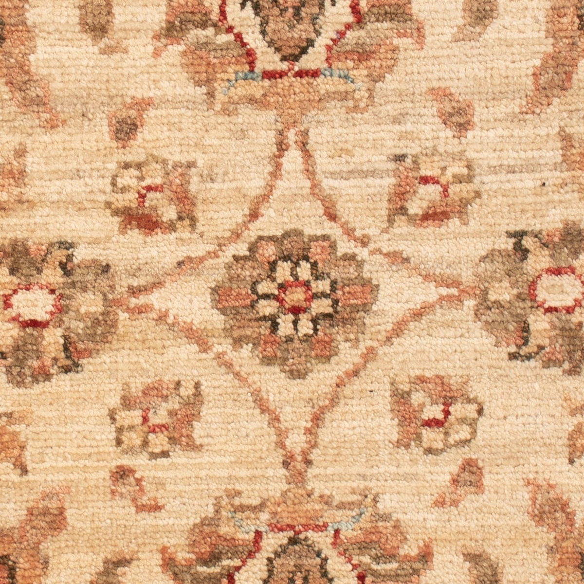 Tapis Ziegler - 71 x 50 cm - beige