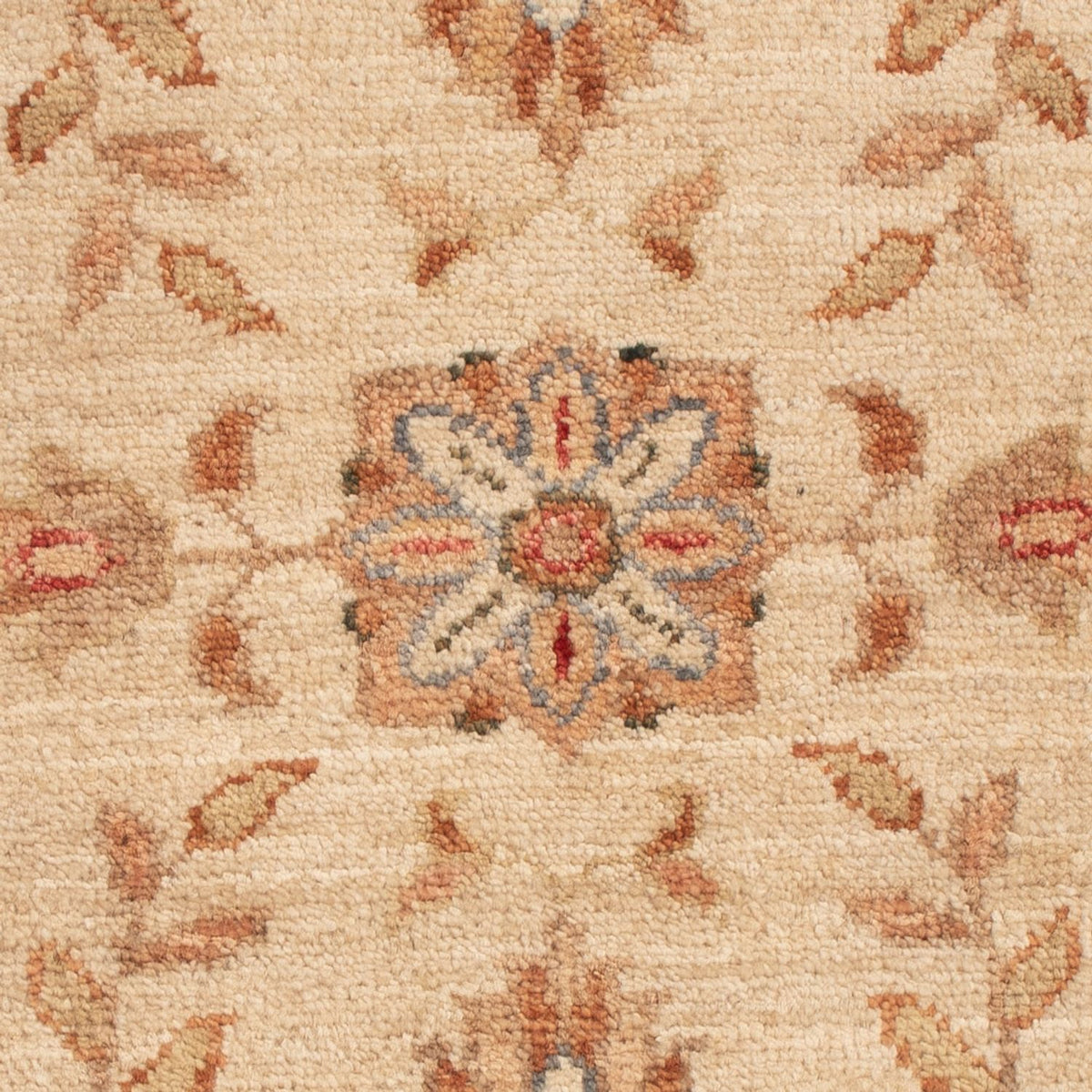 Tapis Ziegler - 69 x 52 cm - beige